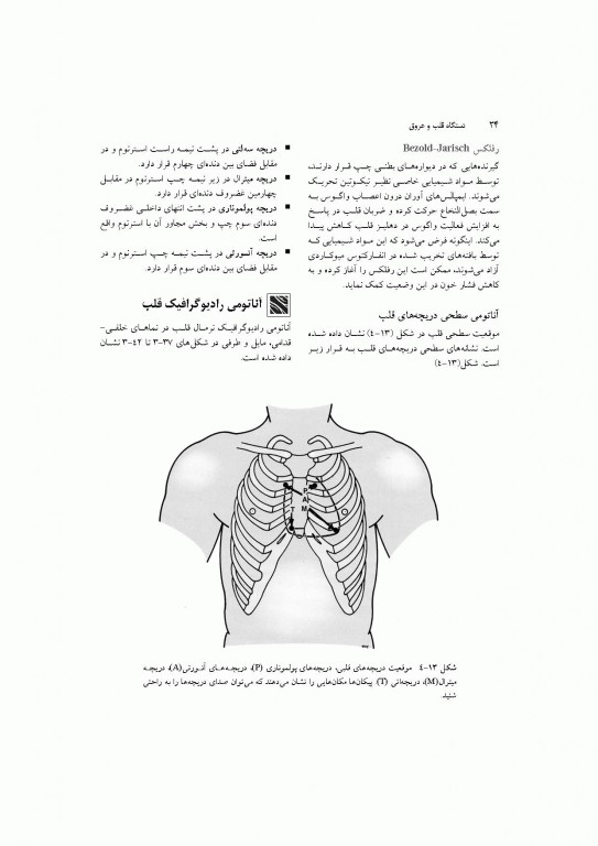 آناتومی سیستمیک اسنل جلد دوم دستگاه قلب و عروق