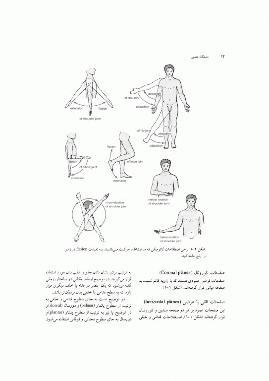 آناتومی سیستمیک اسنل جلد اول دستگاه تنفسی