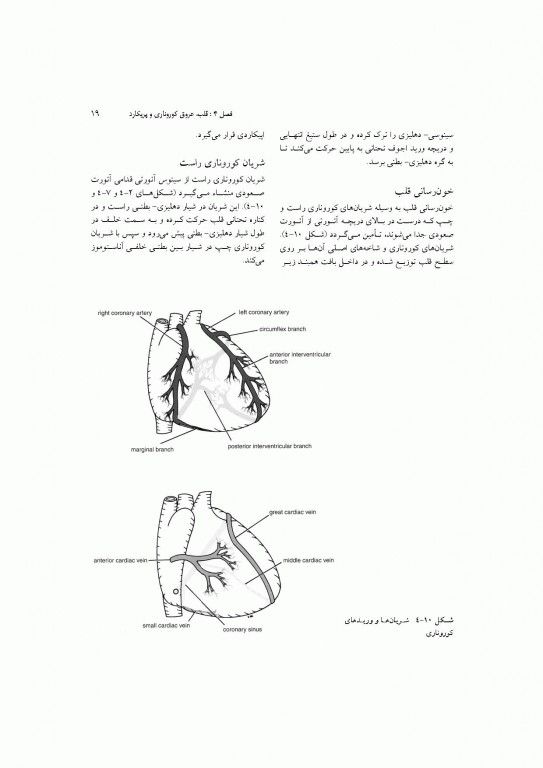 آناتومی سیستمیک اسنل جلد دوم دستگاه قلب و عروق