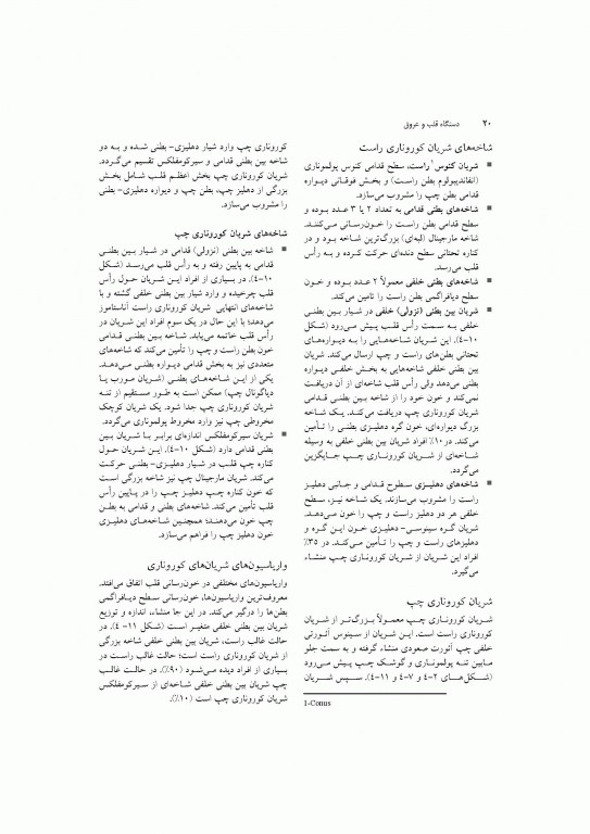 آناتومی سیستمیک اسنل جلد دوم دستگاه قلب و عروق