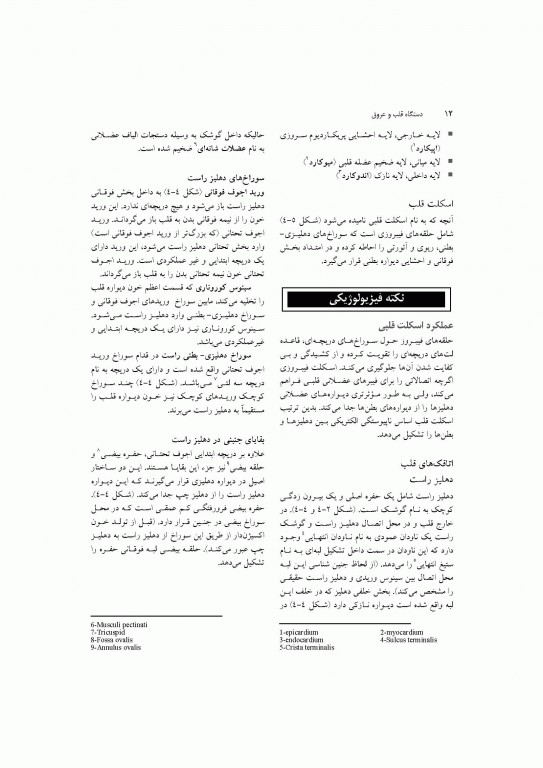 آناتومی سیستمیک اسنل جلد دوم دستگاه قلب و عروق