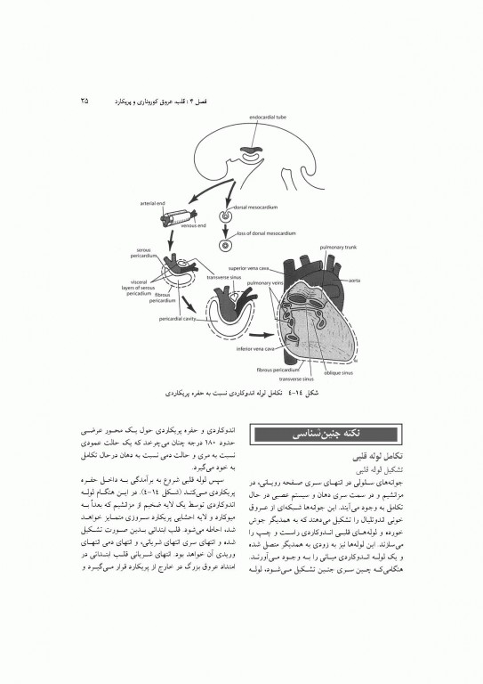 آناتومی سیستمیک اسنل جلد دوم دستگاه قلب و عروق