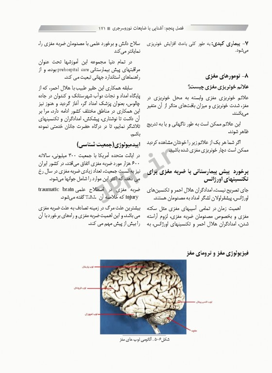 مرجع جامع و کاربردی نورولوژی