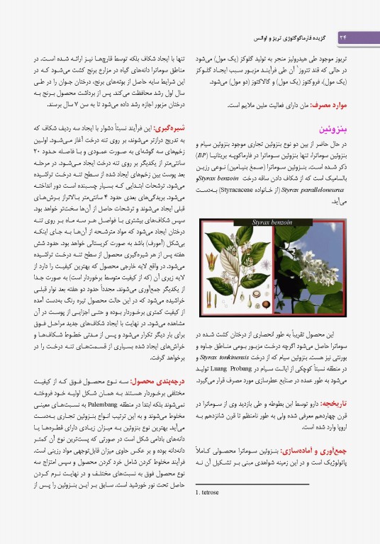 گزیده فارماکوگنوزی تریز و اوانس