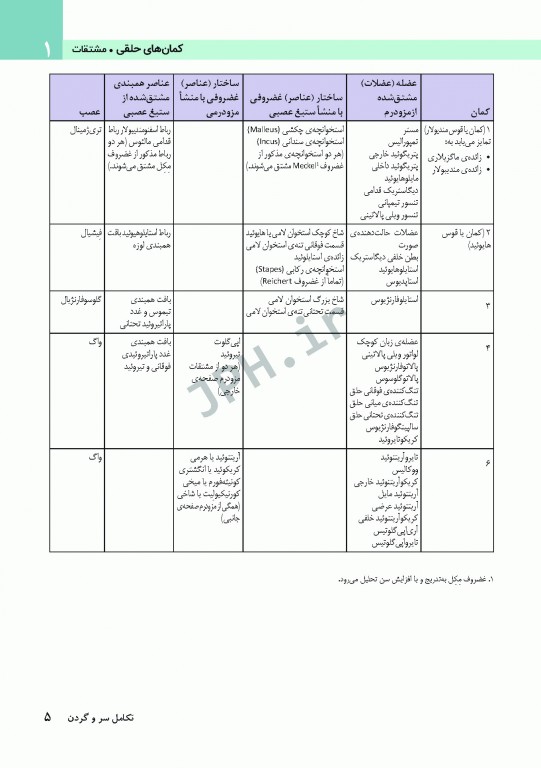 آناتومی سر و گردن برای دندانپزشکی نتر 2017