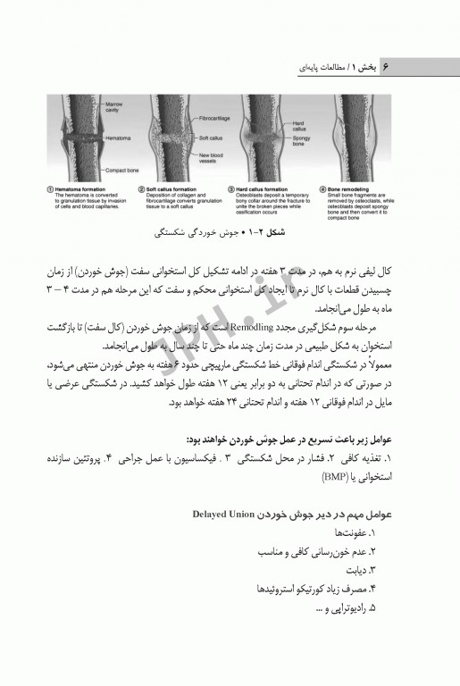 اصول پیشرفته و روش‌های کاربردی در ارتوتراپی، تروماتولوژی، شکسته‌بندی و اسپلینت‌های خارجی مبتنی بر تکنولوژی ترموپلاست