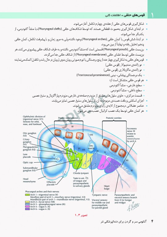 آناتومی سر و گردن برای دندانپزشکی نتر 2017