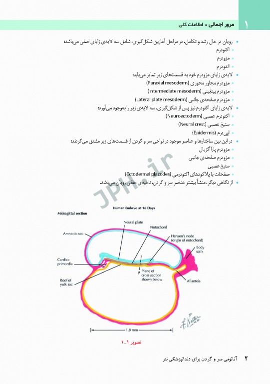 آناتومی سر و گردن برای دندانپزشکی نتر 2017
