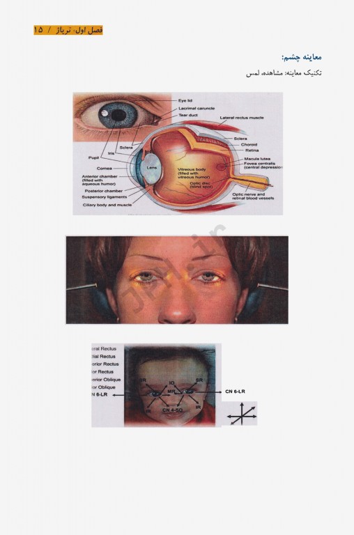 مهارت‌های پرستاری در فوریت‌ها