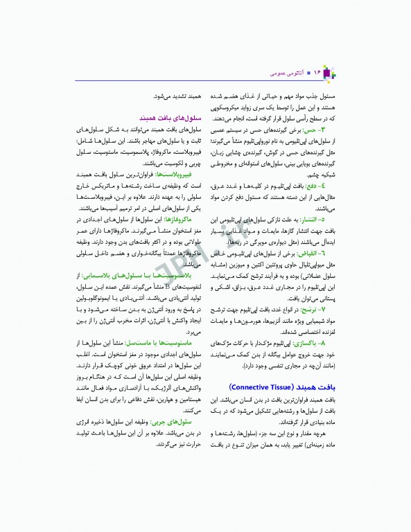 آناتومی عمومی یگانه