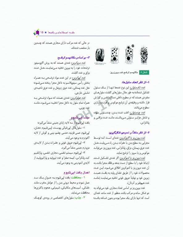 آناتومی عمومی یگانه