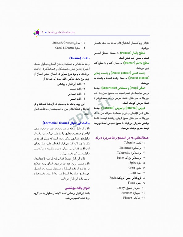 آناتومی عمومی یگانه