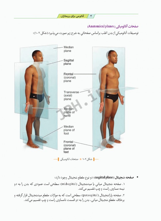 آناتومی برای پرستاران با رویکرد بالینی دکتر گلچینی