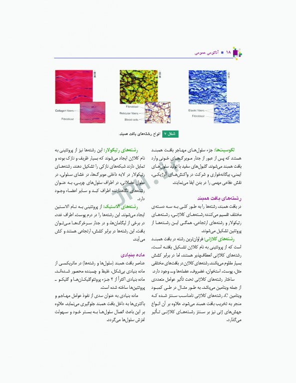 آناتومی عمومی یگانه