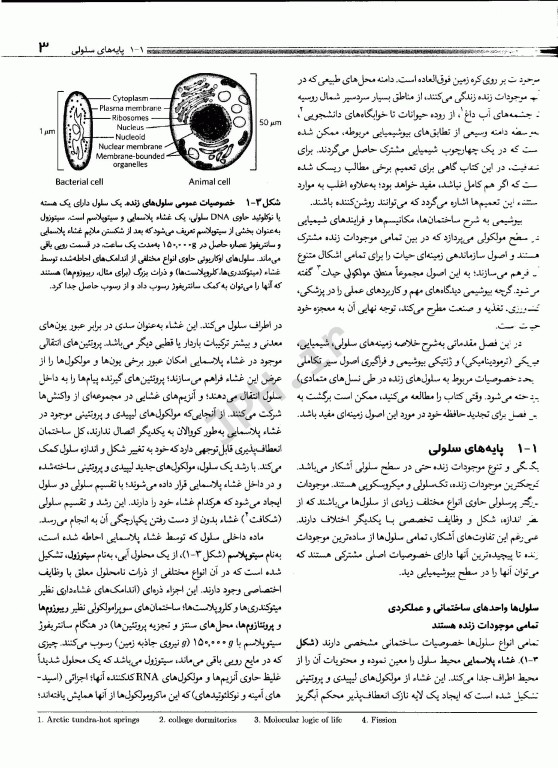 اصول بیوشیمی لنینجر 2021 جلد اول ساختمان و کاتالیز دکتر رضا محمدی