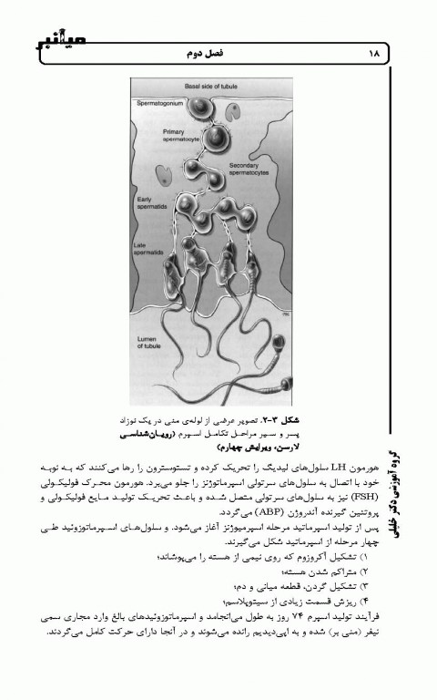 میانبر جنین‌شناسی براساس کتاب لانگمن