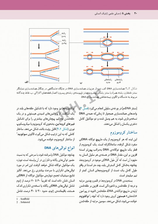 اصول ژنتیک پزشکی امری 2017 دکتر نوری دلویی