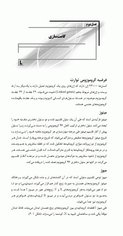 میانبر جنین‌شناسی براساس کتاب لانگمن