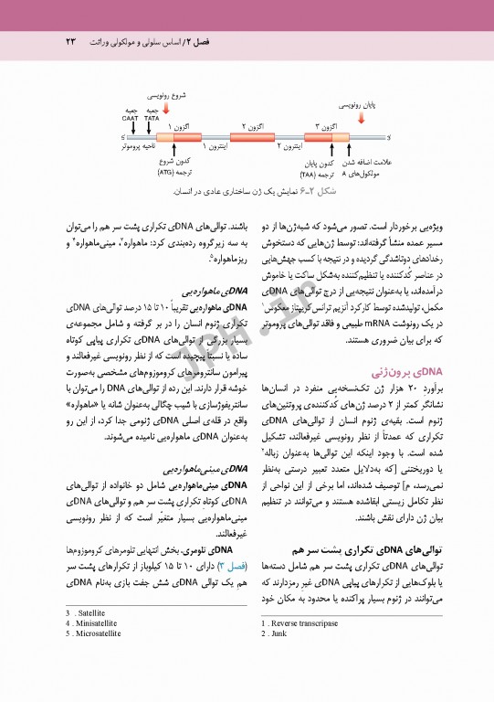 اصول ژنتیک پزشکی امری 2017 دکتر نوری دلویی
