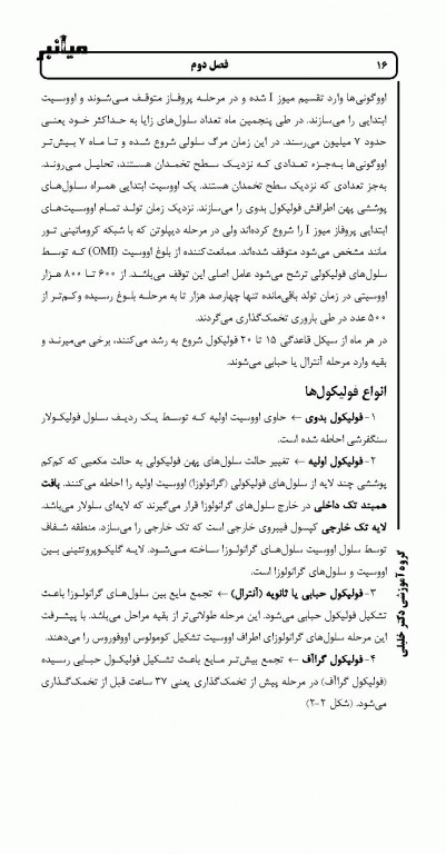 میانبر جنین‌شناسی براساس کتاب لانگمن