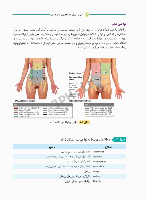 آناتومی برای دانشجویان اتاق عمل با رویکرد بالینی و جراحی جلد اول