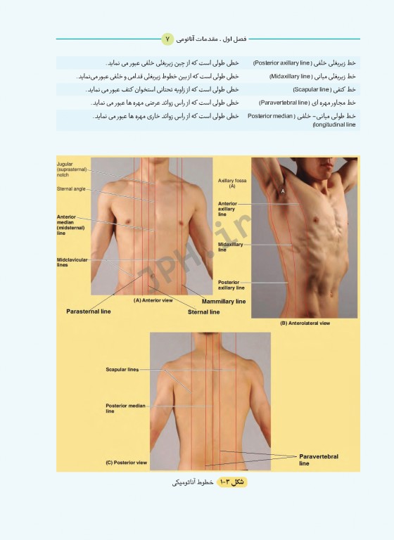 آناتومی برای دانشجویان اتاق عمل با رویکرد بالینی و جراحی جلد اول