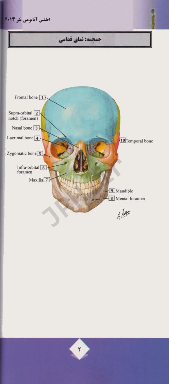 اطلس جیبی آناتومی نتر 2014 دکتر نژادمقدم