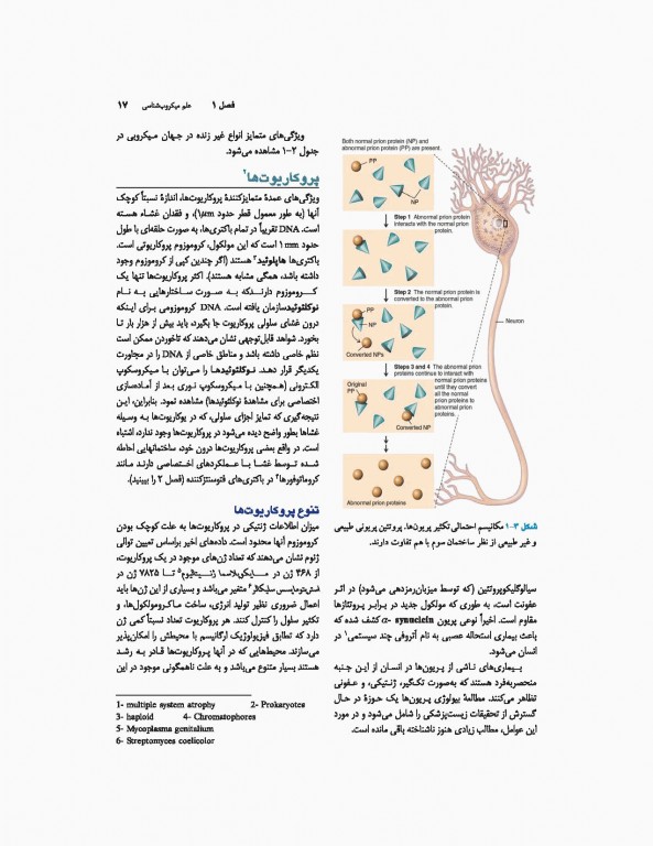 میکروب‌شناسی پزشکی جاوتز 2019 جلد اول