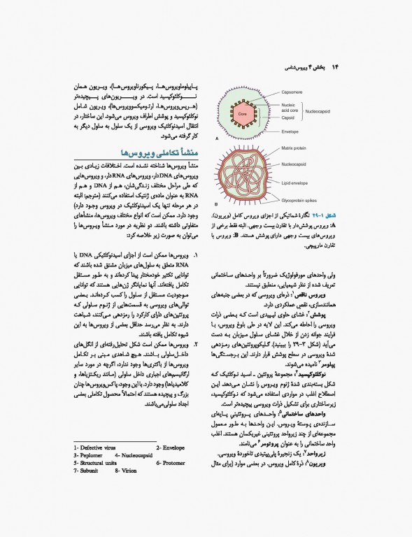 میکروب‌شناسی پزشکی جاوتز 2019 جلد دوم