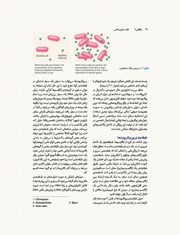 میکروب‌شناسی پزشکی جاوتز 2019 جلد اول