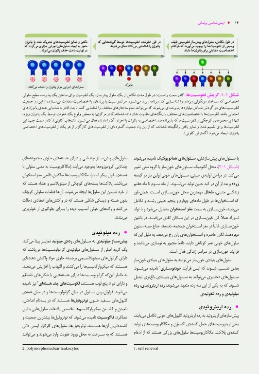 ایمنی‌شناسی پزشکی دکتر نیک‌نام