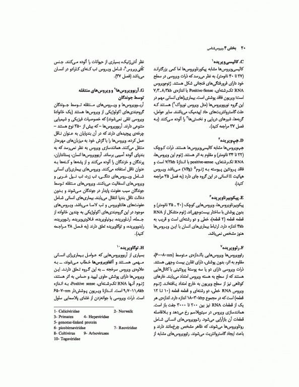 میکروب‌شناسی پزشکی جاوتز 2019 جلد دوم