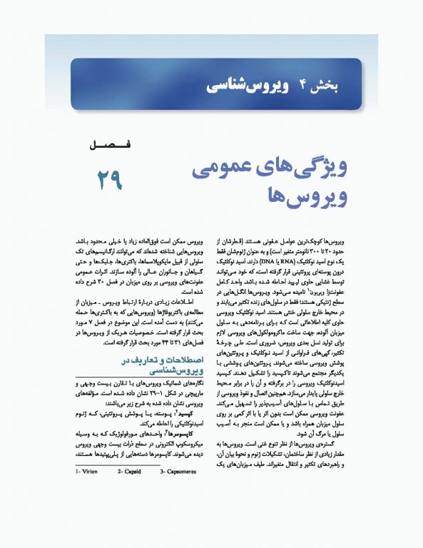 میکروب‌شناسی پزشکی جاوتز 2019 جلد دوم