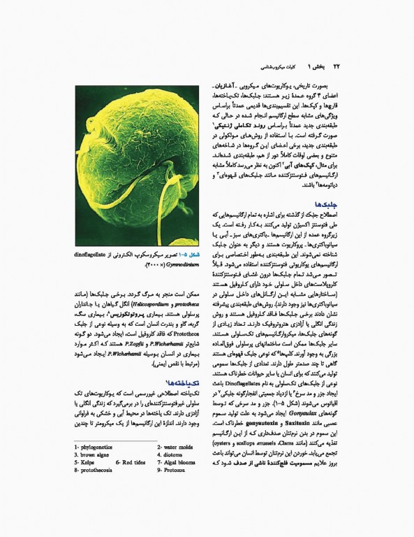 میکروب‌شناسی پزشکی جاوتز 2019 جلد اول