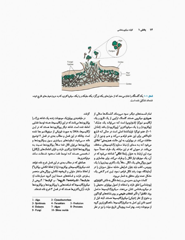 میکروب‌شناسی پزشکی جاوتز 2019 جلد اول