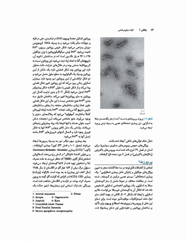 میکروب‌شناسی پزشکی جاوتز 2019 جلد اول