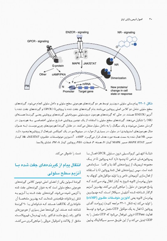 اصول شیمی بالینی و روش‌های تشخیص مولکولی تیتز 2019 جلد دوم