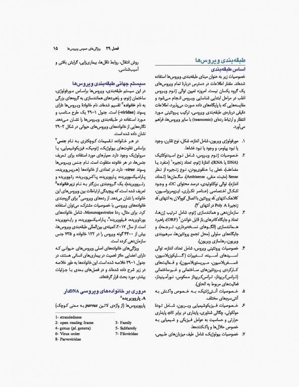 میکروب‌شناسی پزشکی جاوتز 2019 جلد دوم