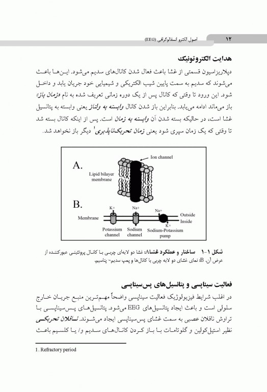 اصول الکتروانسفالوگرافی EEG دکتر صابری
