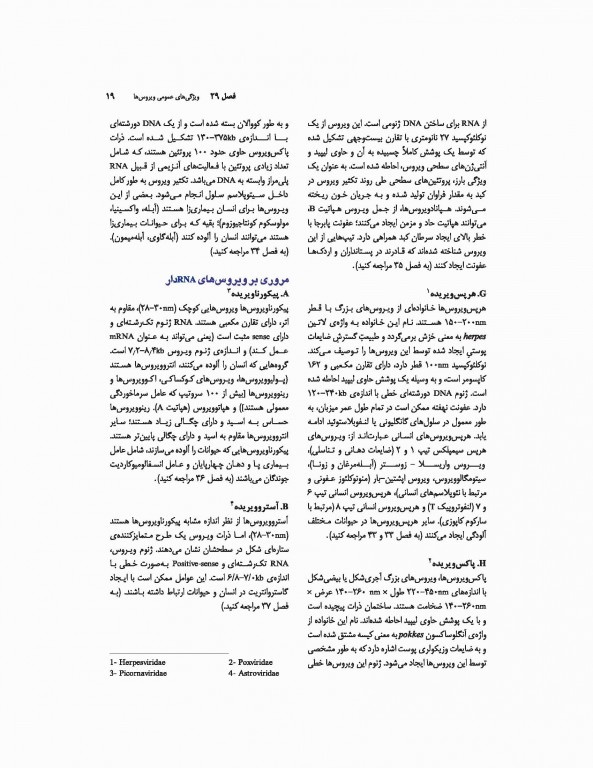 میکروب‌شناسی پزشکی جاوتز 2019 جلد دوم