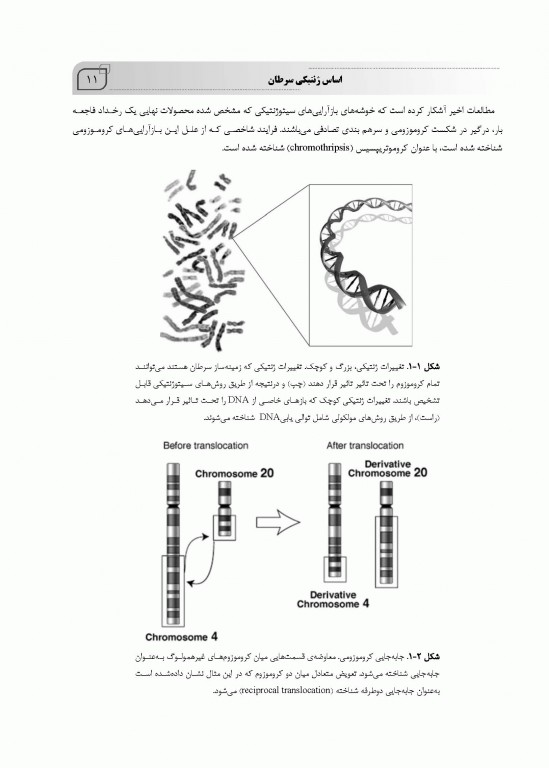 مبانی ژنتیک سرطان Principles of cancer genetics