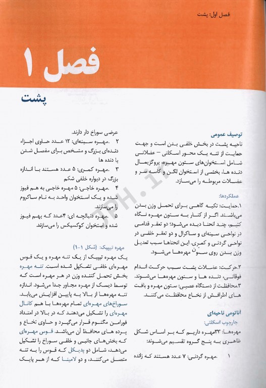 چکیده آناتومی گری 2020 برای دانشجویان مهدی‌زاده