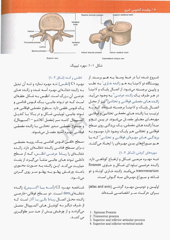 چکیده آناتومی گری 2020 برای دانشجویان مهدی‌زاده