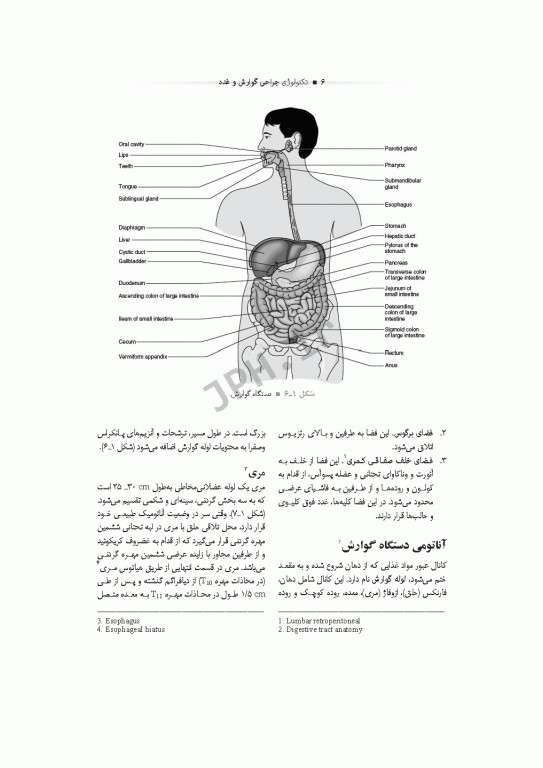 تکنولوژی جراحی گوارش و غدد ساداتی و گلچینی