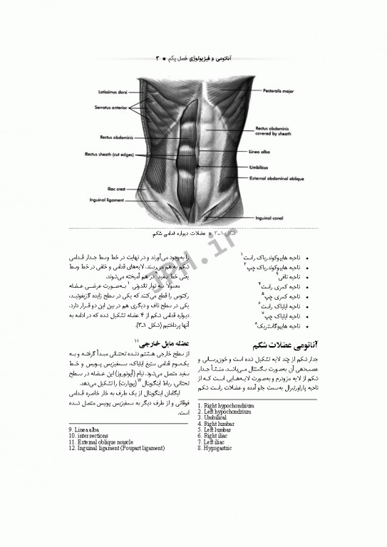تکنولوژی جراحی گوارش و غدد ساداتی و گلچینی