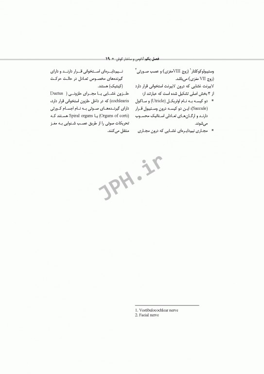 تکنولوژی جراحی ENT، فک و صورت ساداتی و گلچینی