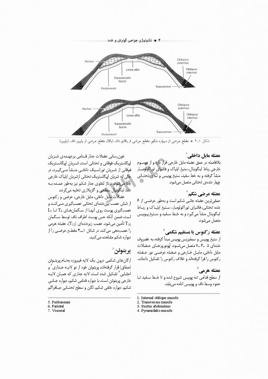 تکنولوژی جراحی گوارش و غدد ساداتی و گلچینی
