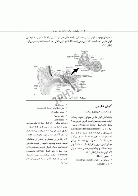 تکنولوژی جراحی ENT، فک و صورت ساداتی و گلچینی