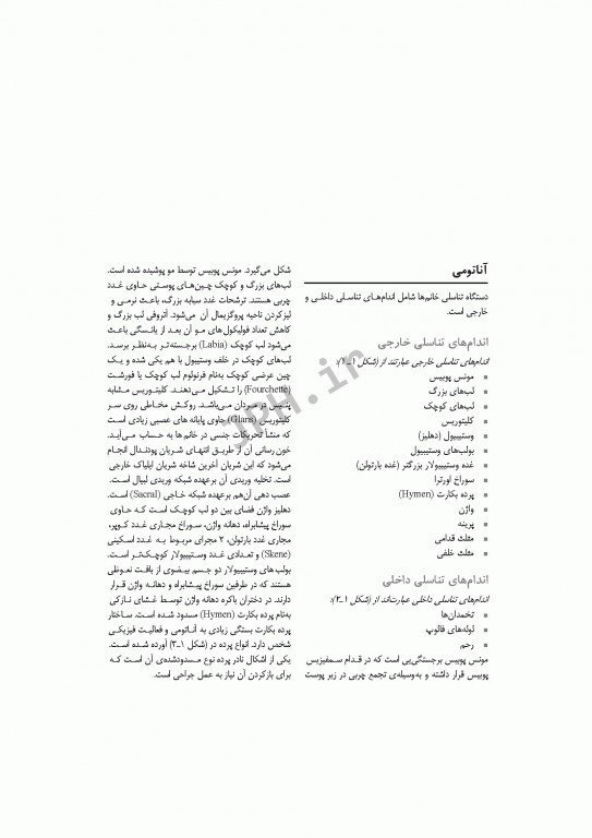 تکنولوژی جراحی زنان و مامایی ساداتی و گلچینی