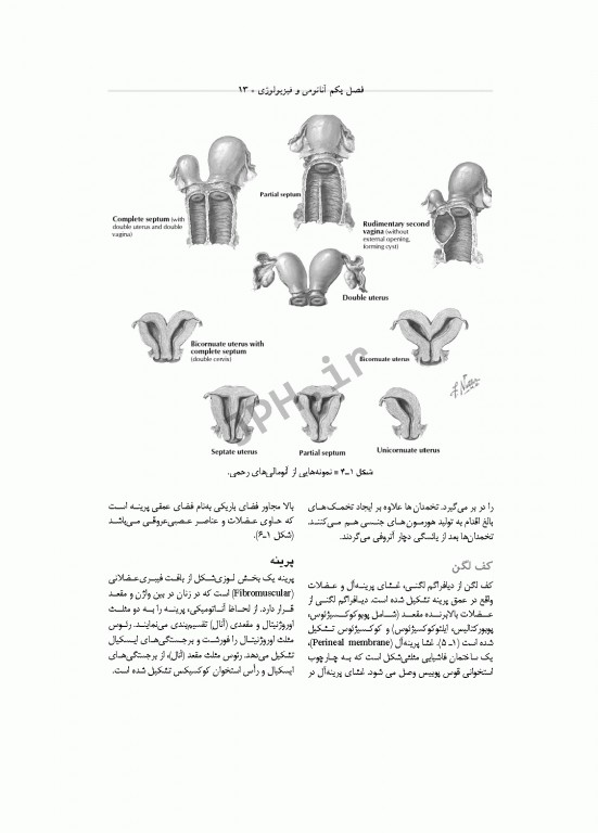 تکنولوژی جراحی زنان و مامایی ساداتی و گلچینی